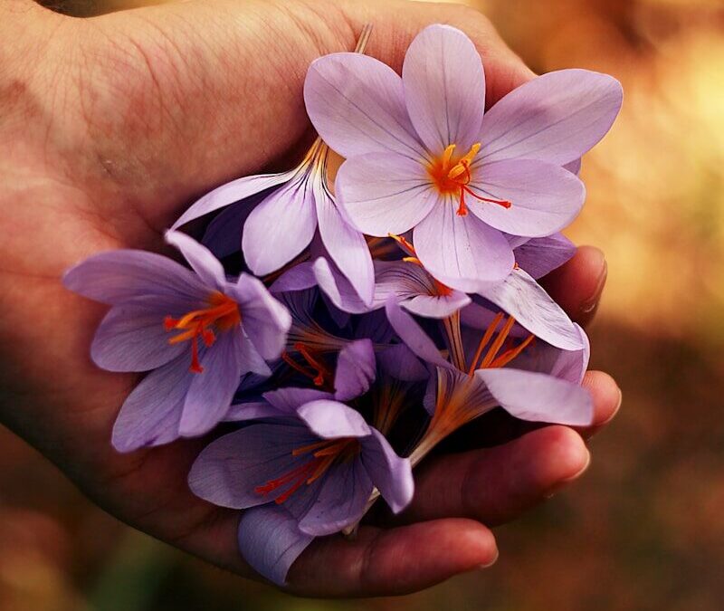 fleurir